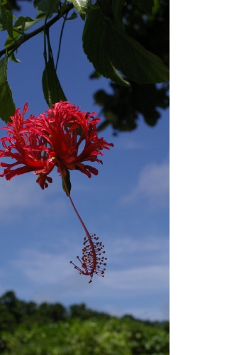 bind_free144.jpg